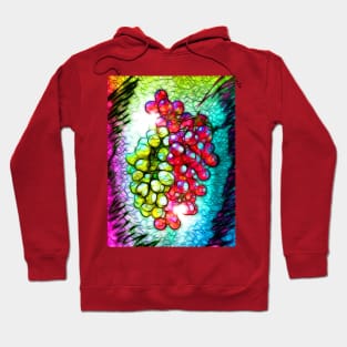 Grapes in Colors Hoodie